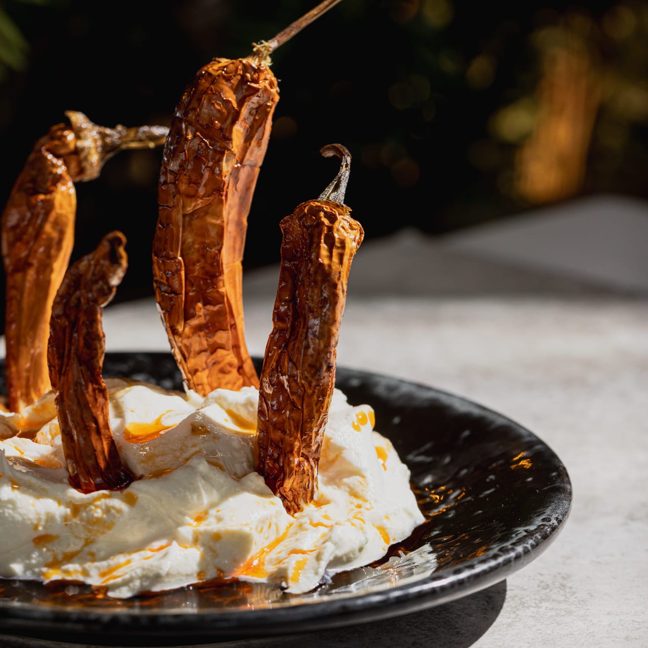 Civarda Food 5